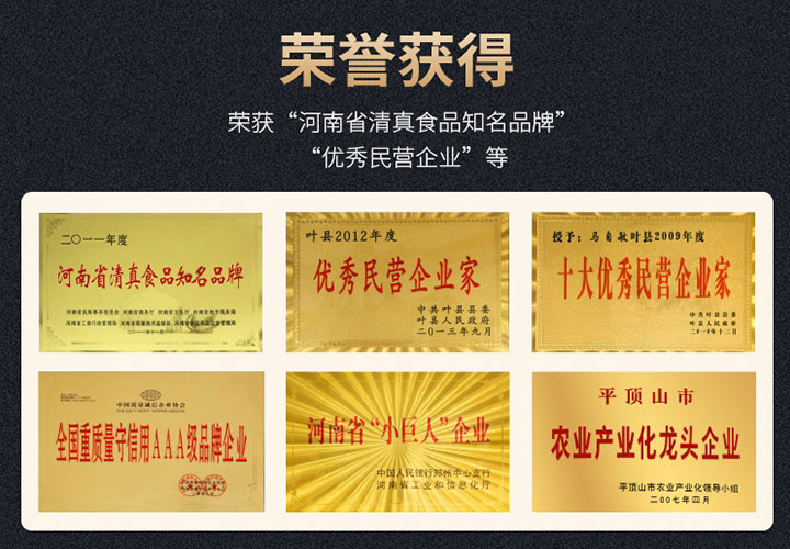 榮譽(yù)獲得